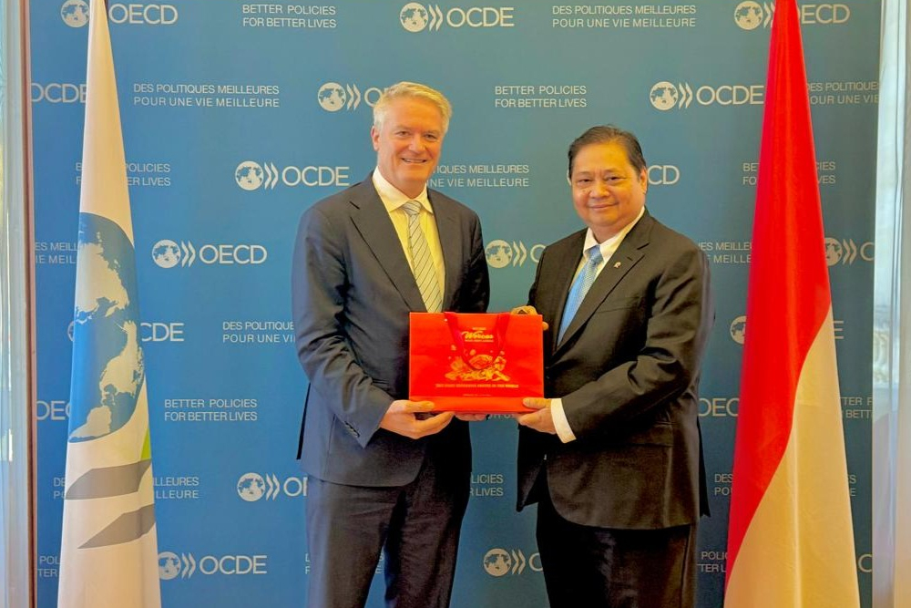  Perkembangan Aksesi RI ke OECD, Airlangga Bakal Lapor ke Prabowo