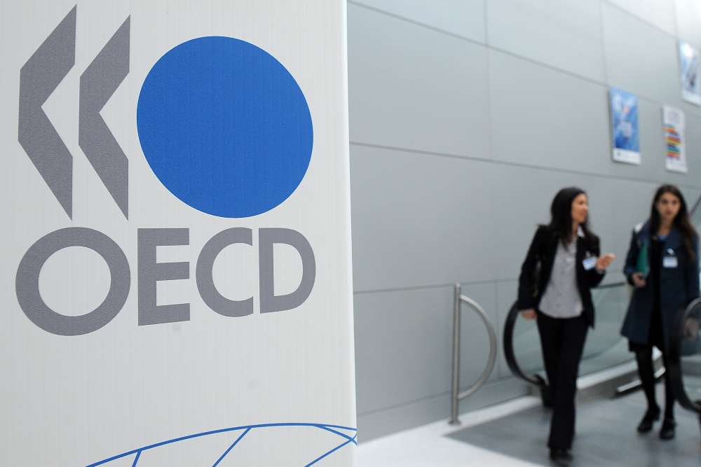  Indonesia Percepat Aksesi jadi Anggota OECD, Ekonom Ungkap Sebabnya