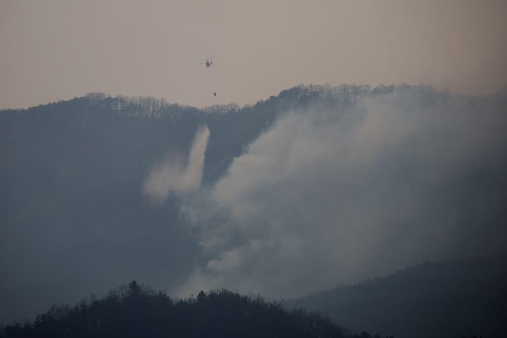  Update Kebakaran Hutan Korea Selatan, Tewaskan Puluhan Orang
