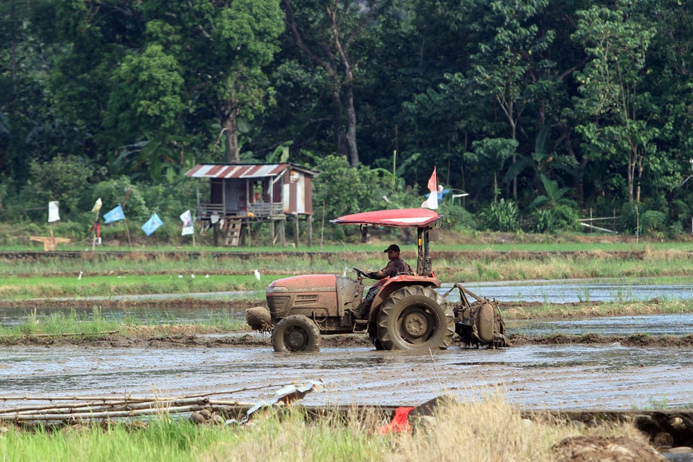  123.397 Hektare Sawah di Sulsel Masuk Masa Panen