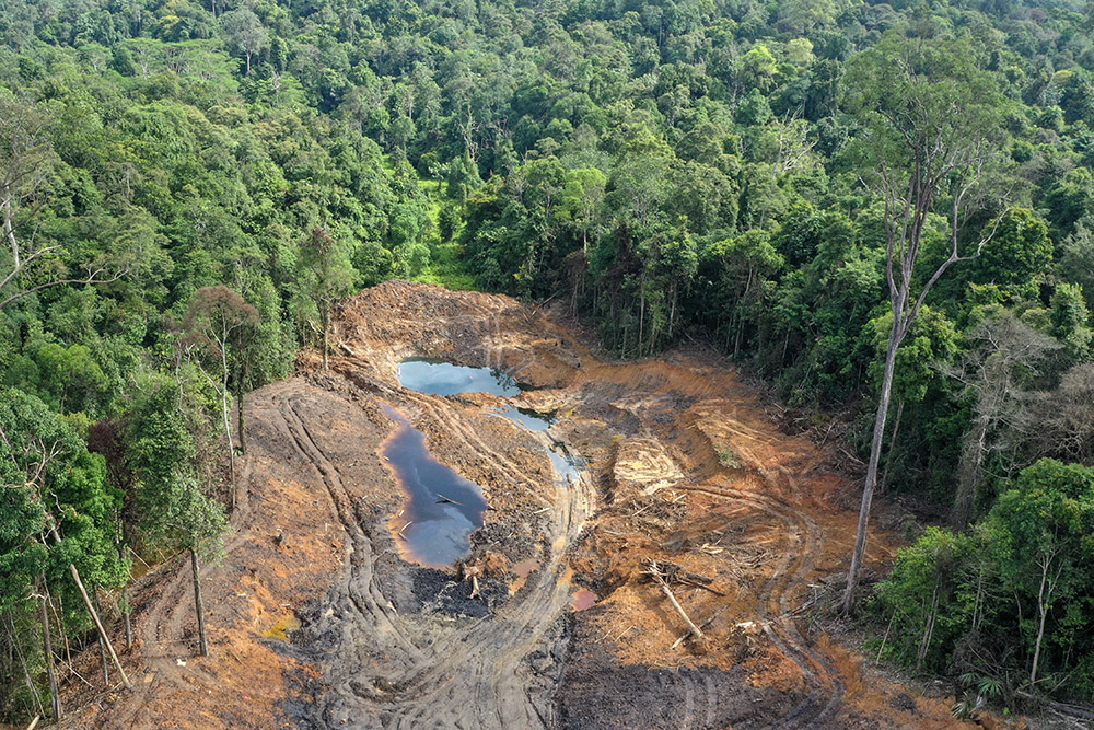  Alih Fungsi Lahan Hutan Jadi Lokasi Tambang Di Samarinda