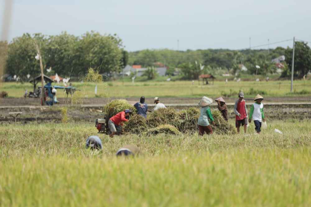  Kuartal 1/2025, Program Makmur Pupuk Indonesia Sentuh 128.000 Petani