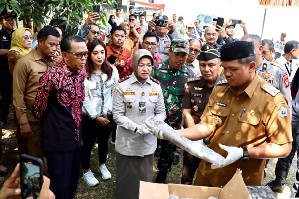  22 Ton Gurita Beku Asal Bantaeng Diekspor ke Meksiko Senilai Rp2,3 Miliar