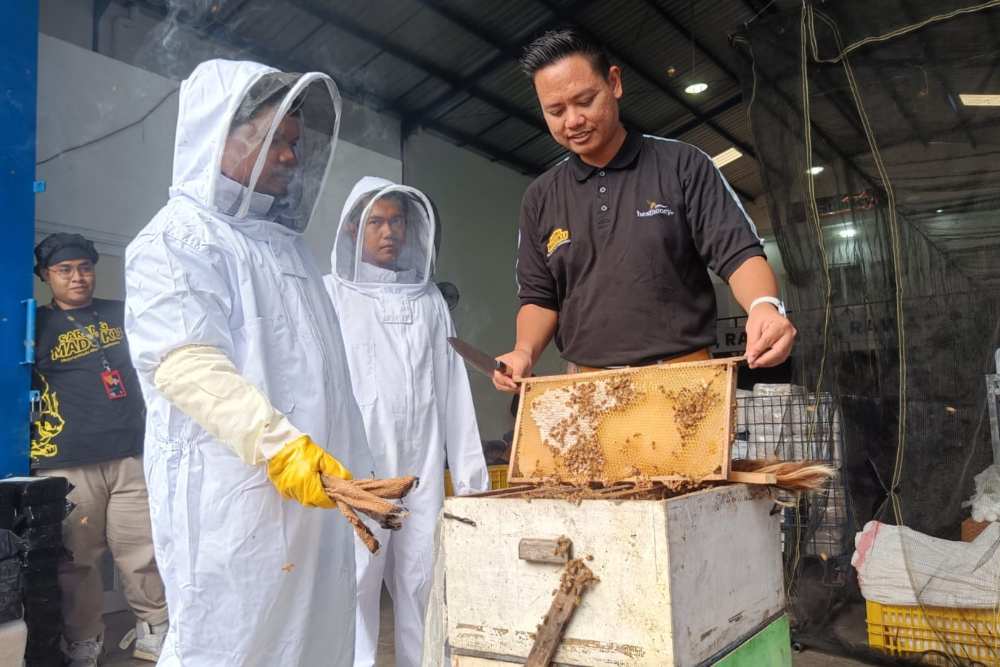  Sarang Maduku, Tinggalkan Karir Banker Demi Pilih Geluti Bisnis Madu Berbuah Manis