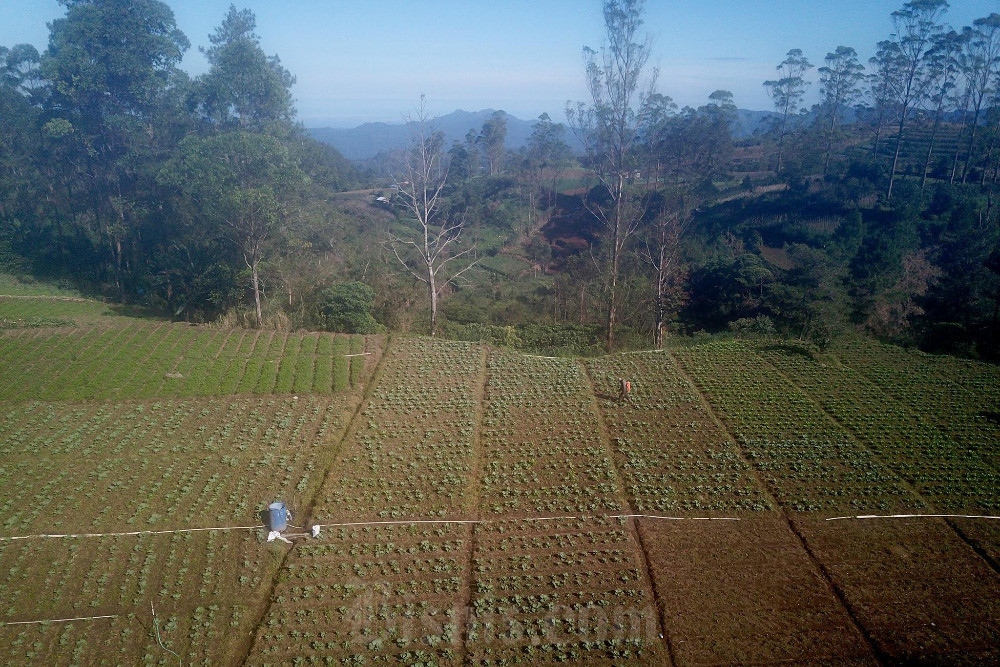  Nilai Tukar Petani di Provinsi Sulawesi Selatan Turun 0,37%