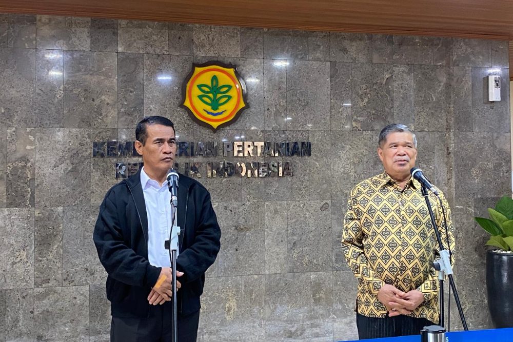  Stok Beras Bakal Tembus 4 Juta Ton, Mentan: Tertinggi Sejak RI Merdeka
