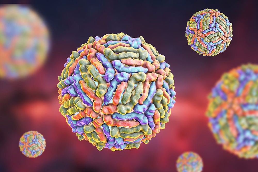  5 Virus Paling Mematikan di Dunia, dari Rabies hingga Ebola