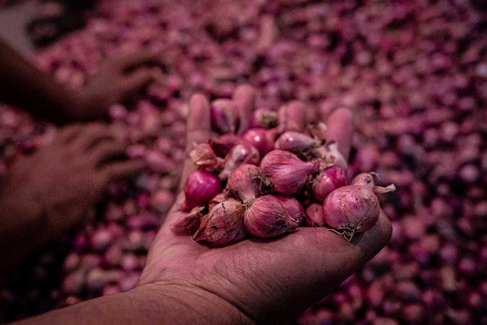  Harga Bawang Merah Lokal di Semarang Alami Penurunan