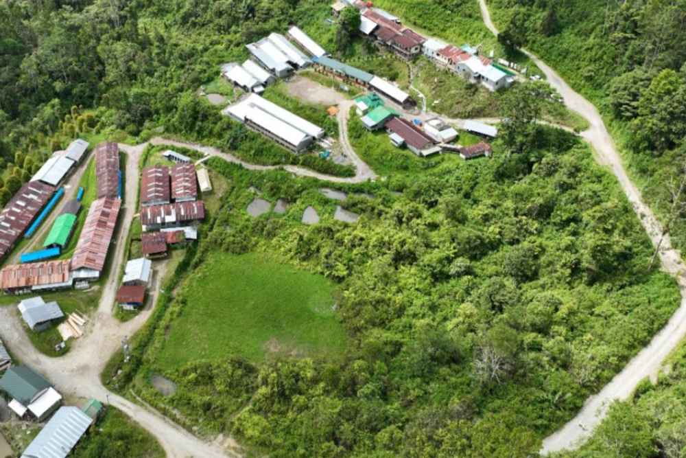  Masmindo Bantah Kerja Sama dengan Freeport untuk Penambangan Emas Skala Besar