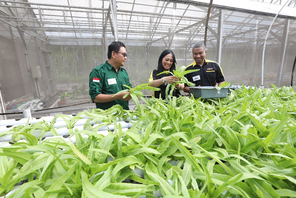  MR. DIY Run 2025 Donasikan Hasil Penjualan Tiket