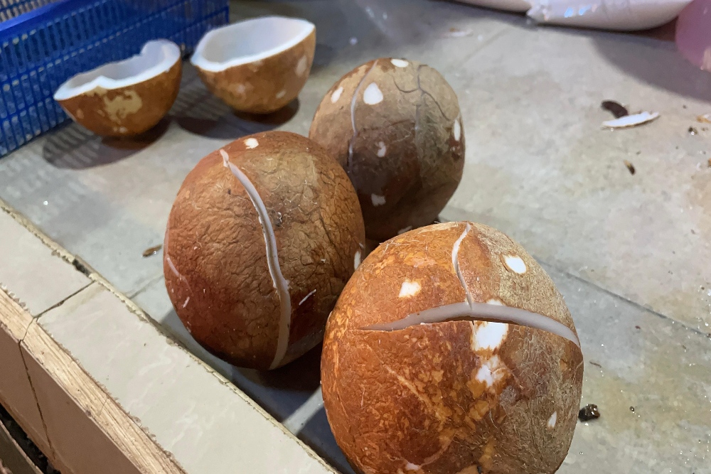 Kelapa bulat yang dijual di Pasar Nalo, Jakarta, Kamis (24/4/2025). —Bisnis/Rika Anggraeni