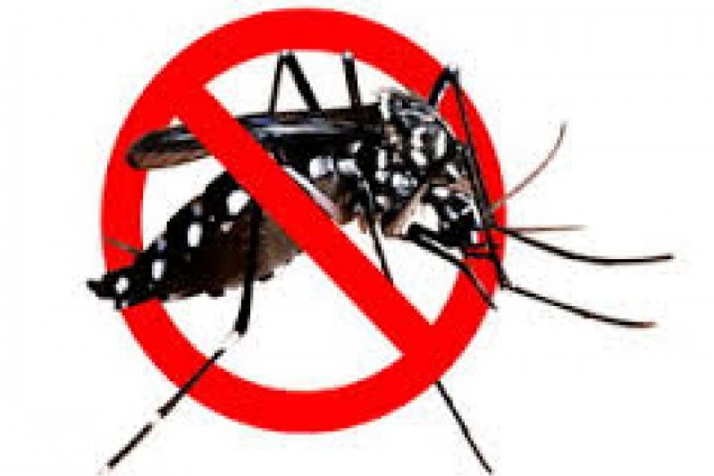  Vaksinasi DBD, Bisa Cegah Anak dan Lansia dari Ancaman Dengue