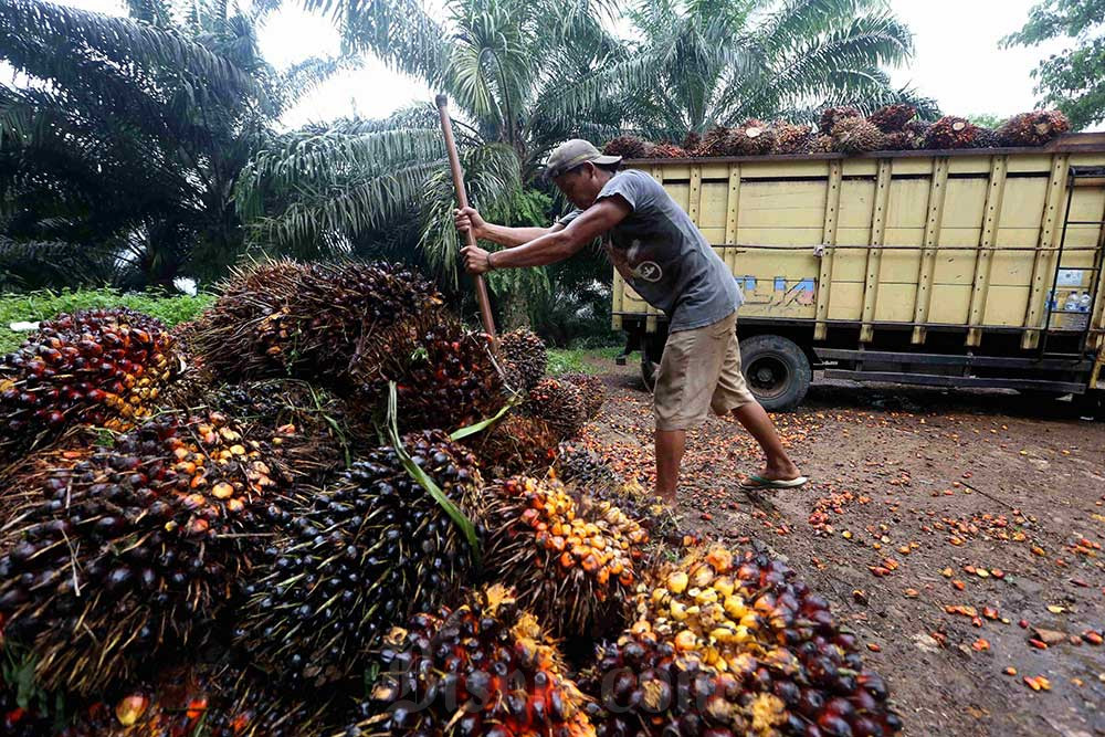  Saham Teladan Prima (TLDN) Bergeliat Respons Tebaran Dividen & Akusisi