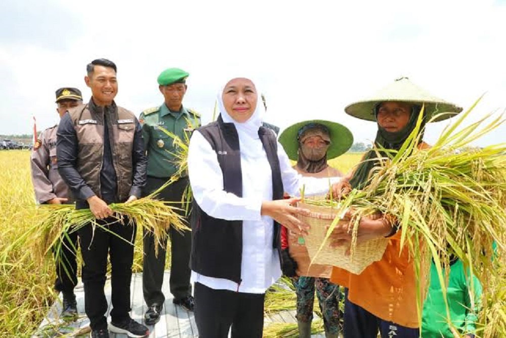  Jawa Timur Jadi Kontributor Terbesar Tanam Padi Nasional