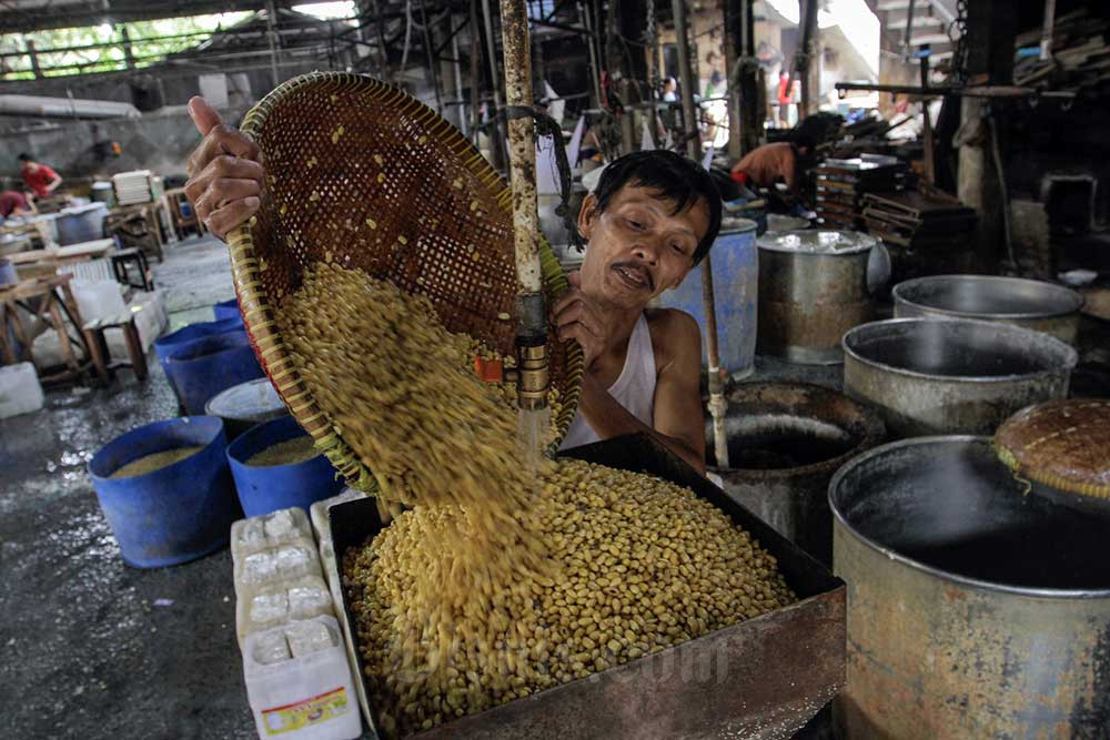 Mentan Amran Targetkan Produksi Kedelai 3 Ton per Hektare