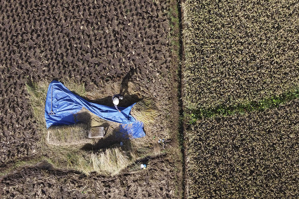  Capaian Serapan Gabah Petani di Jawa Barat