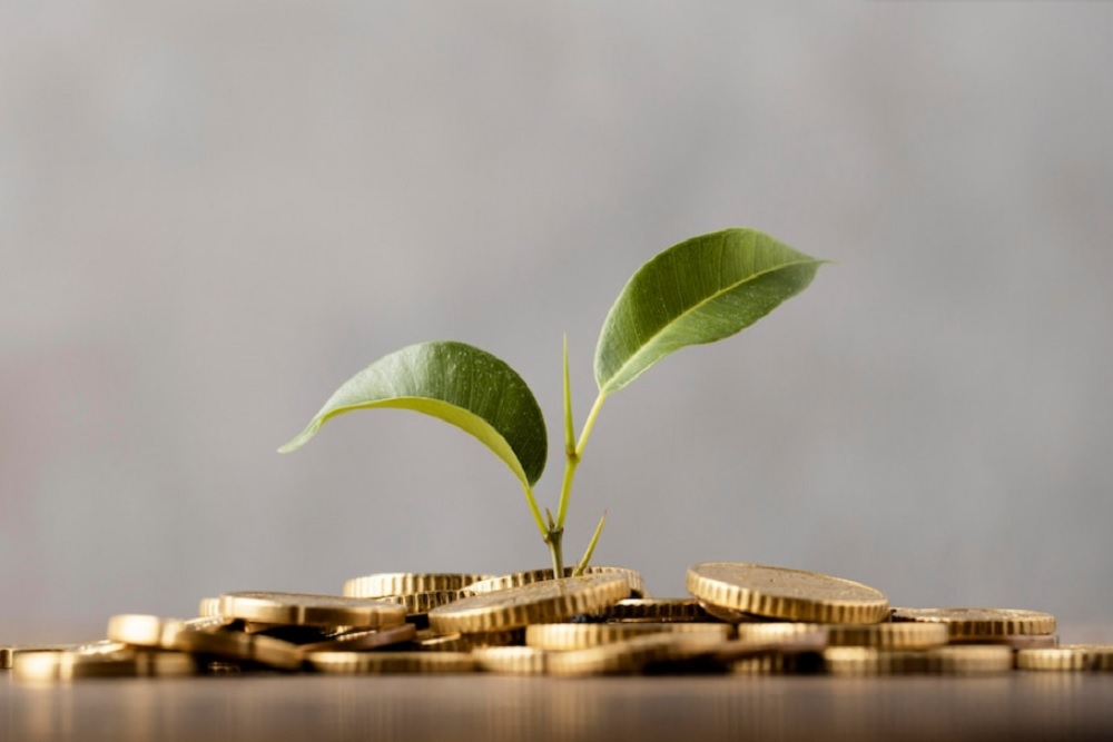  6 Tips Investasi Reksa Dana Pasar Uang (RDPU) saat Pasar Volatil