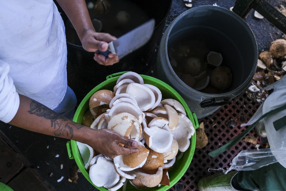  Perubahan Iklim dan Cuaca Ekstrem Biang Kerok Harga Tinggi Kelapa