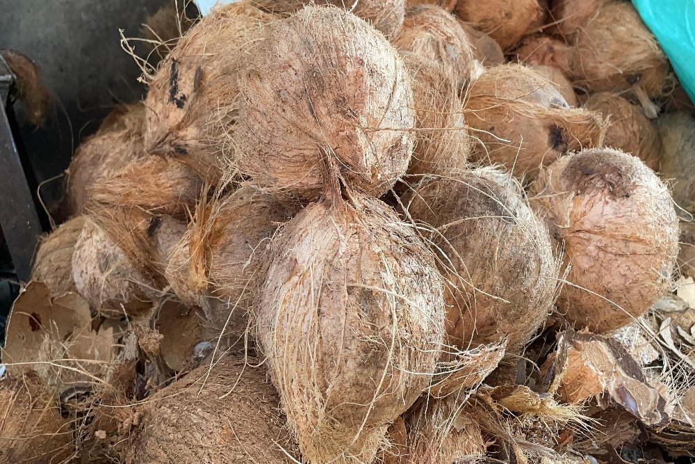  Sambu Group Alami Kendala Pasokan Kelapa, Kapasitas Produksi Turun di Bawah 30%
