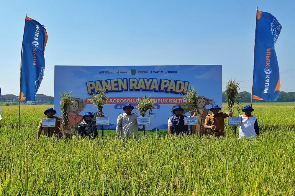  Pupuk Kaltim Dukung Swasembada Pangan Lewat Agrosolution di Bangil