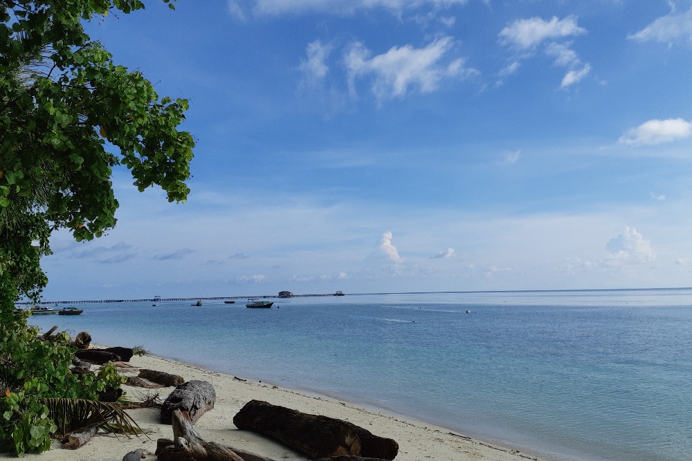  Pigijo (PGJO) Targetkan Pendapatan Melesat 293% pada 2025