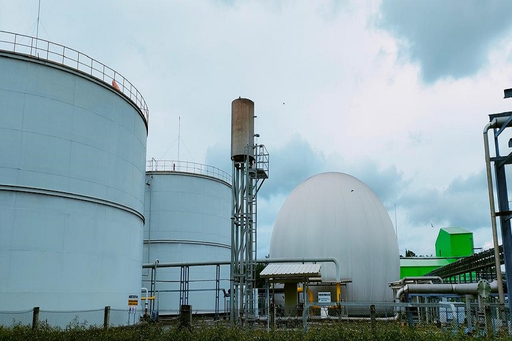 Beralih ke Biogas, MGRO Hemat Rp18 miliar Biaya Bahan Bakar Pabrik