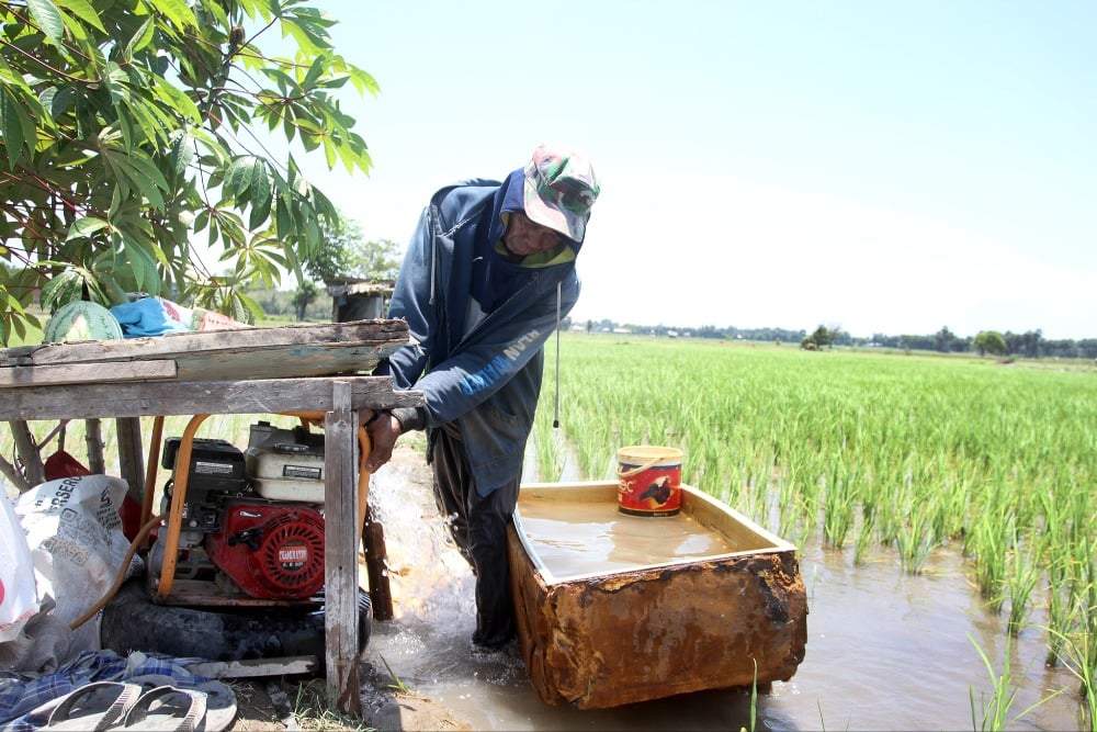 Mentan Amran Sebut Stok Beras Sentuh Rekor Tertinggi dalam 23 Tahun