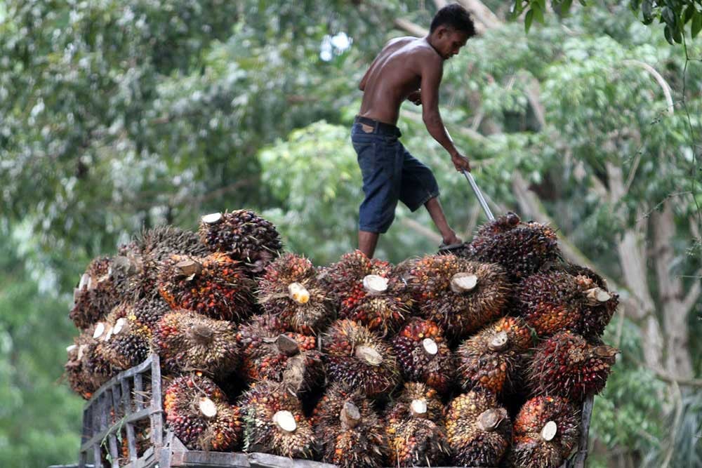Menthobi Karyatama (MKTR) Siapkan Capex Rp76 Miliar untuk Belanja 2025