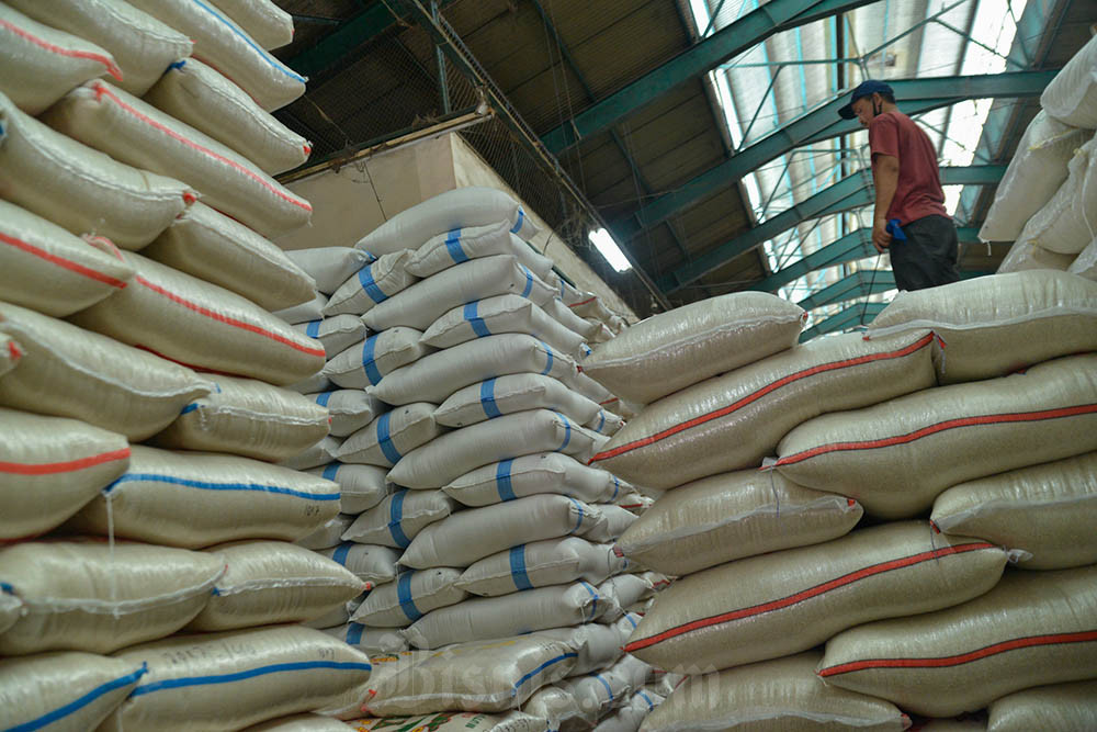BPS: Produksi Beras Diprediksi Capai 18,76 Juta Ton hingga Juni 2025