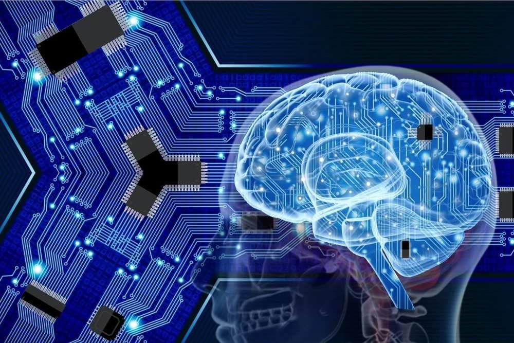  Kenali Neurotransmiter Pada Otak Manusia