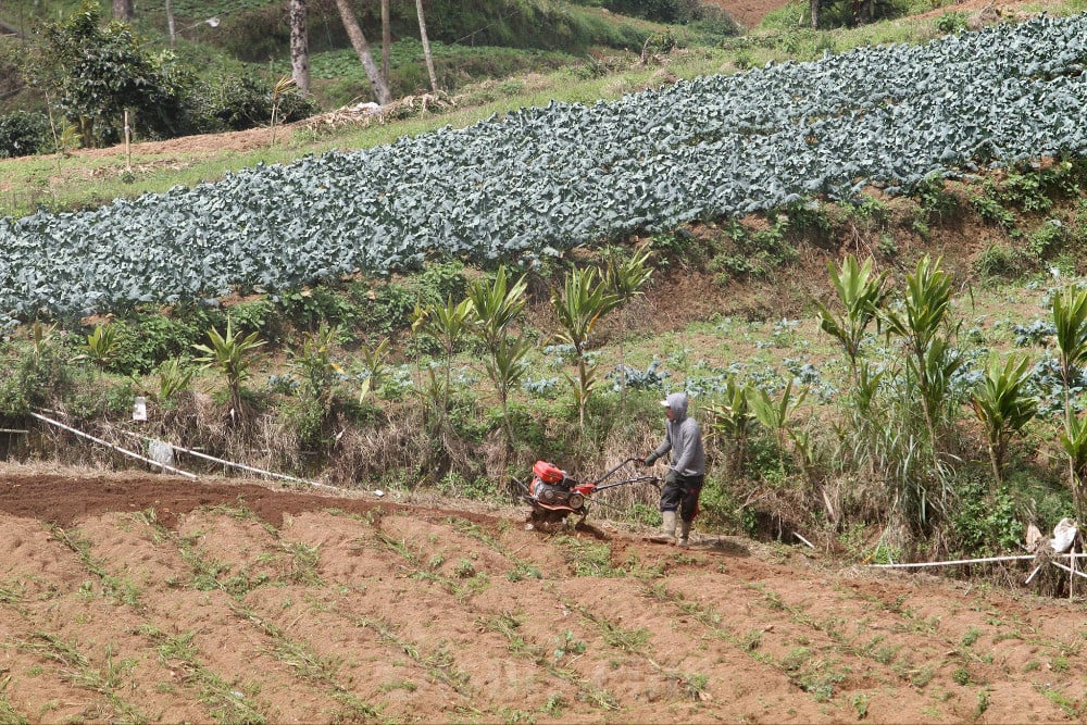 Nilai Tukar Petani Sulsel pada April 2025 Turun 1,96%, Ini Penyebabnya!