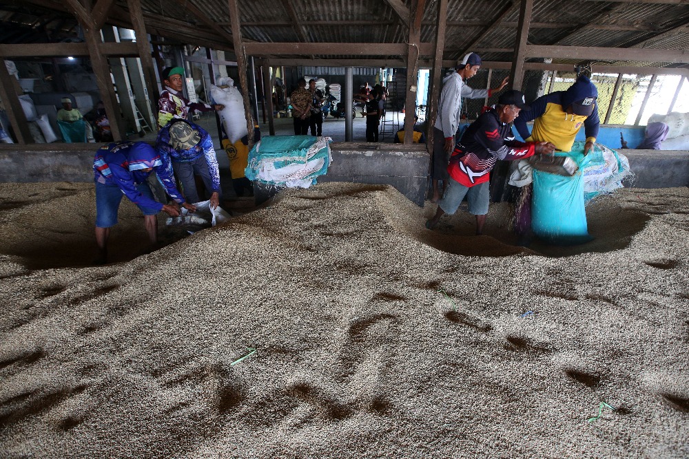  BPS: Harga Beras Premium-Medium Turun di Penggilingan pada April 2025