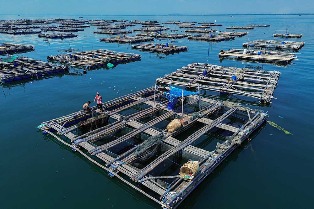  Pemerintah Siapkan Sejumlah Strategi Untuk Hilirisasi Berbagai Komoditas Laut