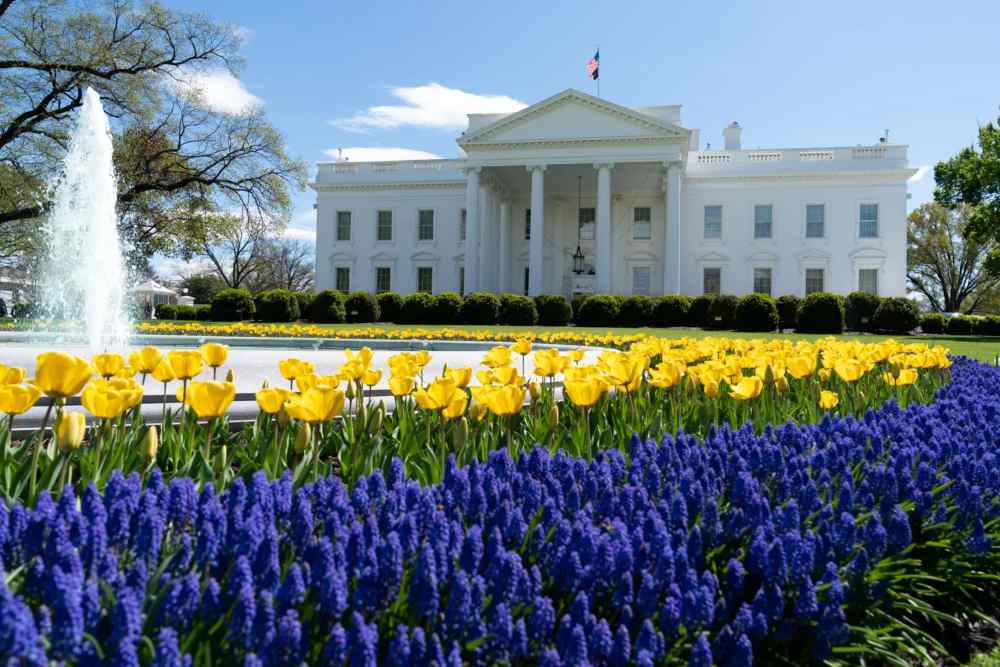 Trump Mau Tarif 100% untuk Film Asing, Gedung Putih Bilang Begini