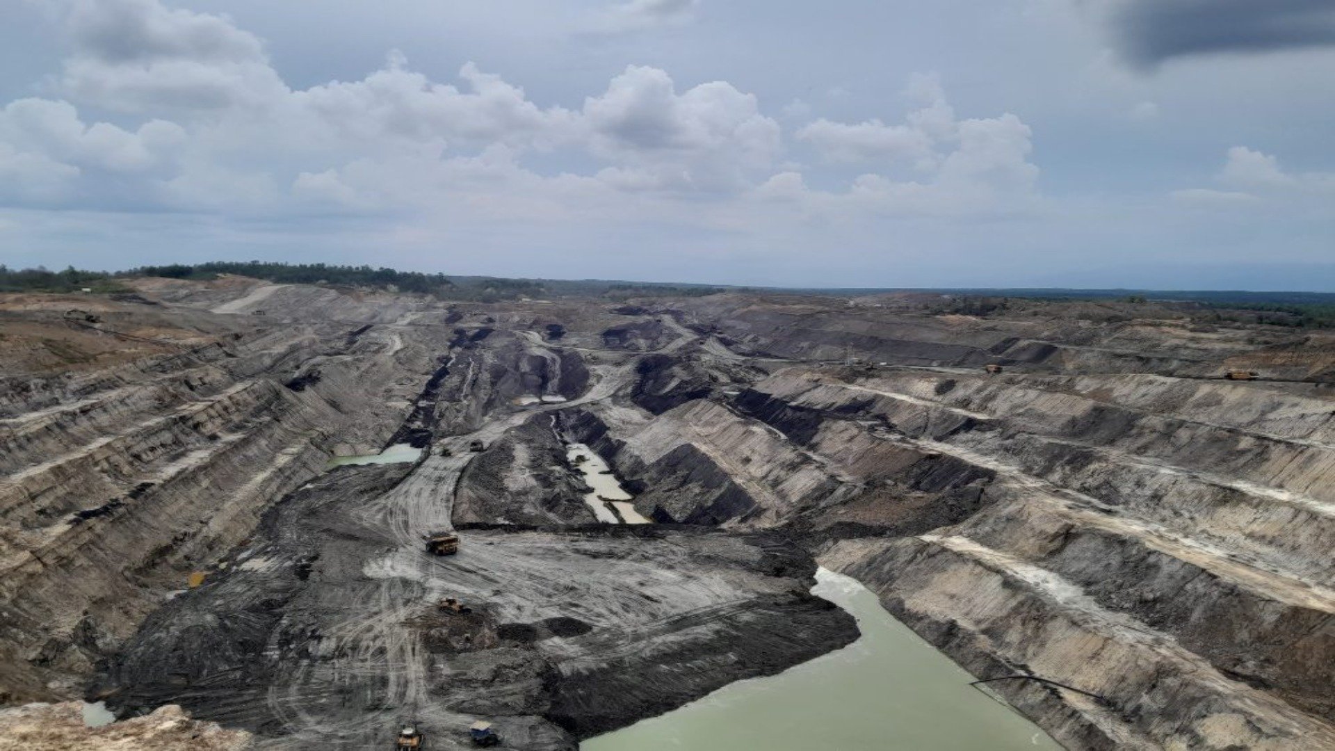 Beda Nasib Emiten Emas, ANTM Cs dan Emiten Batu Bara, AADI Cs