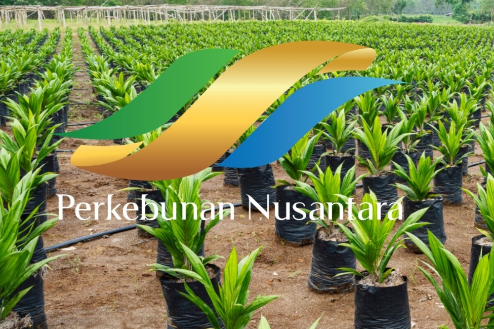  Holding Perkebunan PTPN Catat Laba Bersih Melejit 1.032%