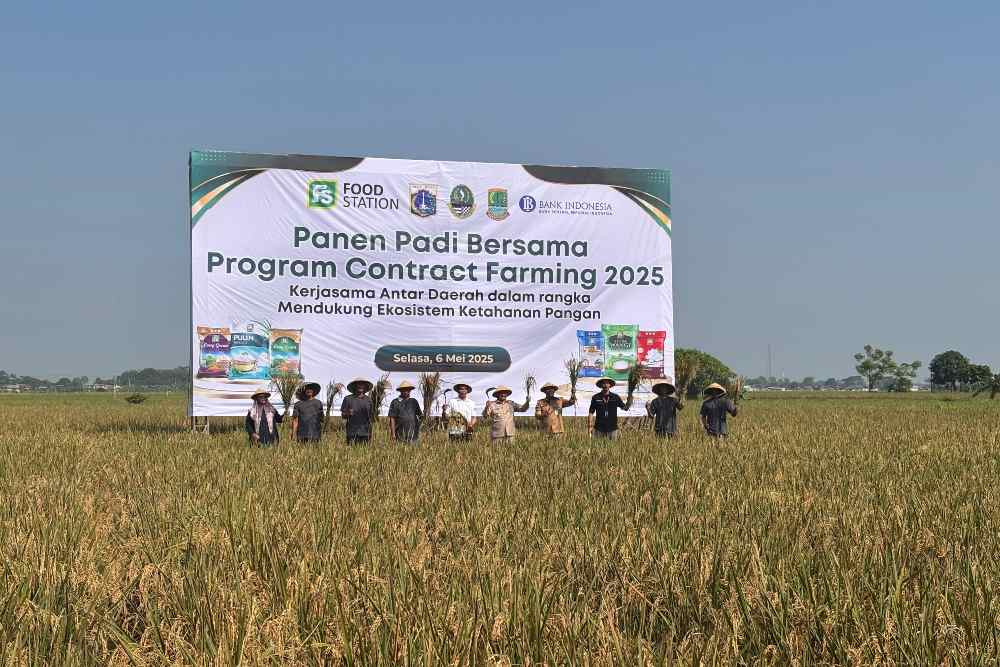  Pemprov Jakarta Targetkan 8.000 Hektar Lahan Contract Farming Selama 2025