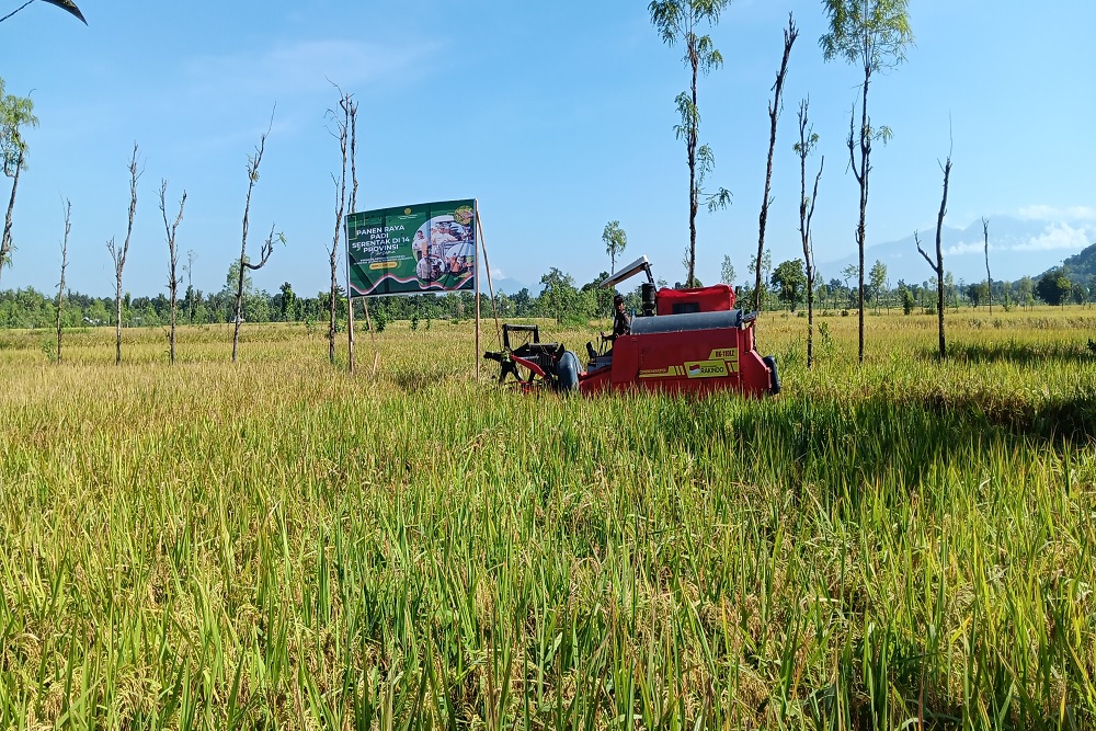  NTB Targetkan Cetak Sawah Baru untuk Wujudkan Ketahanan Pangan