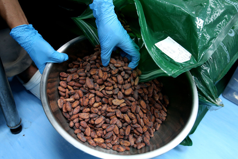 7 Manfaat Konsumsi Dark Cokelat yang Jarang Diketahui