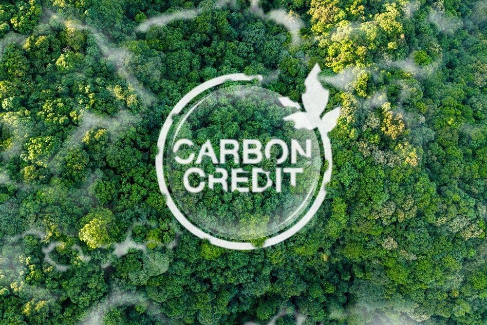  Integra Indocabinet (WOOD) Buka Peluang Monetisasi Aset Karbon