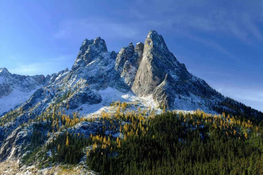  Tragedi di Pegunungan North Cascades, Tiga Pendaki Meninggal Dunia