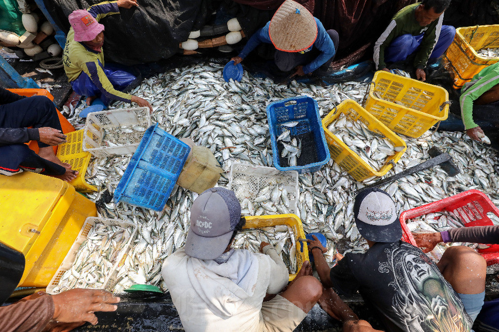  Sepanjang Triwulan I/2025, Ekspor Ikan Batam ke Singapura Meningkat 7,5%