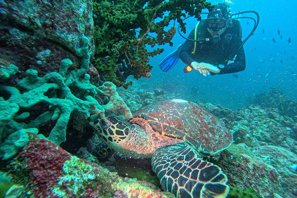  Wisata Bahari di Pulau Weh