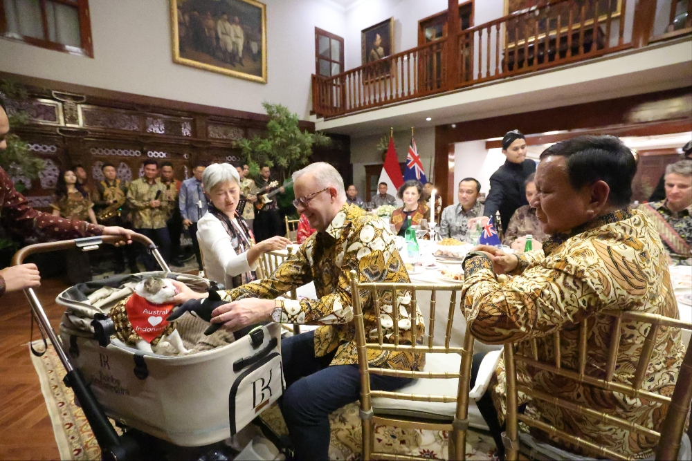  Momen PM Albanese Kalungkan Syal ke Kucing Prabowo, Bobby Kertanegara