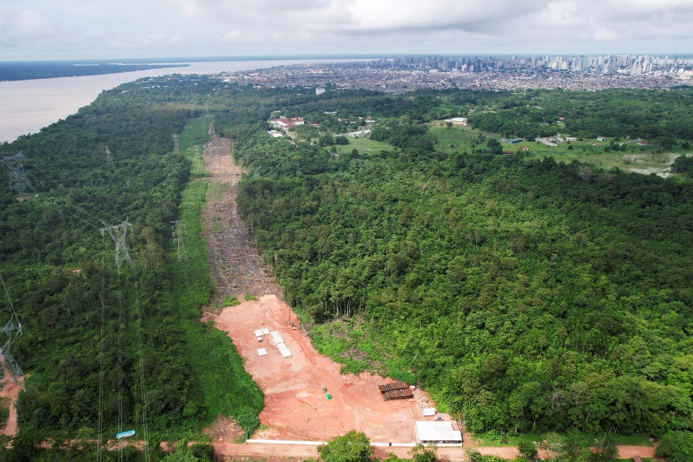  Bank Pembangunan Brasil BNDES Danai Startup Rp231 Miliar untuk Reforestasi Hutan