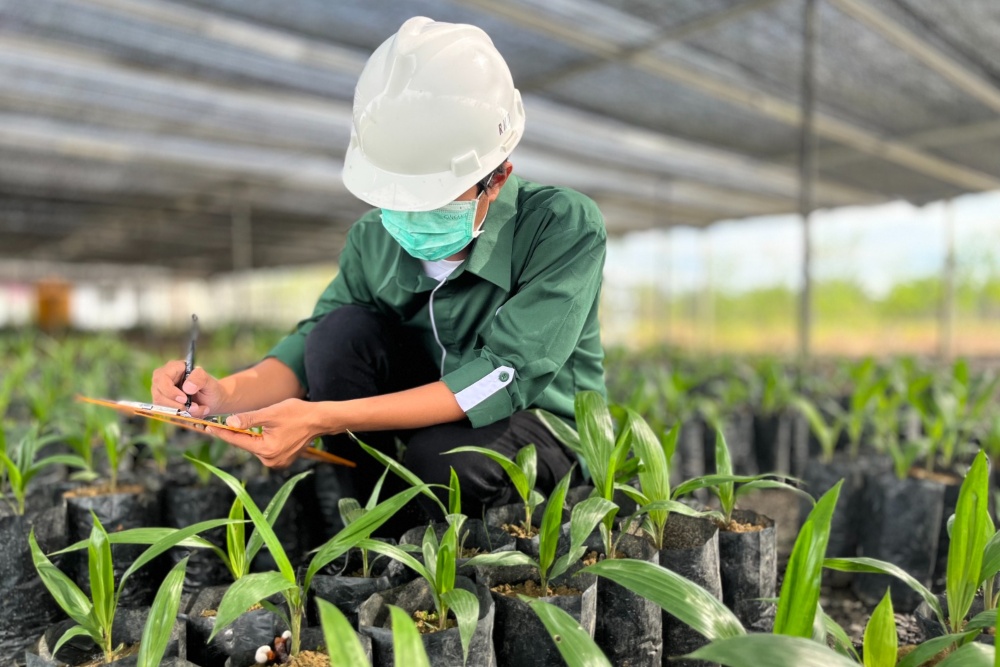  Astra Agro (AALI) Luncurkan 3 Varietas Bibit Unggul Sawit