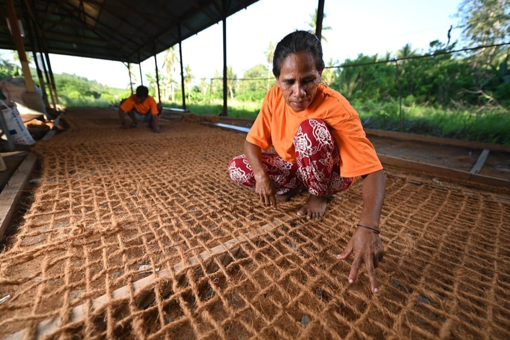 Antam Terapkan Green Mining dengan Memanfaatkan Limbah Kelapa di Maluku Utara