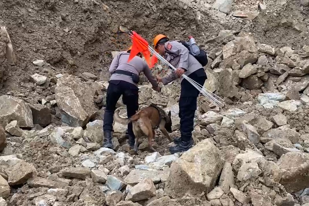  Anjing Pelacak Endus Titik Keberadaan Korban Longsor Gunung Kuda Cirebon