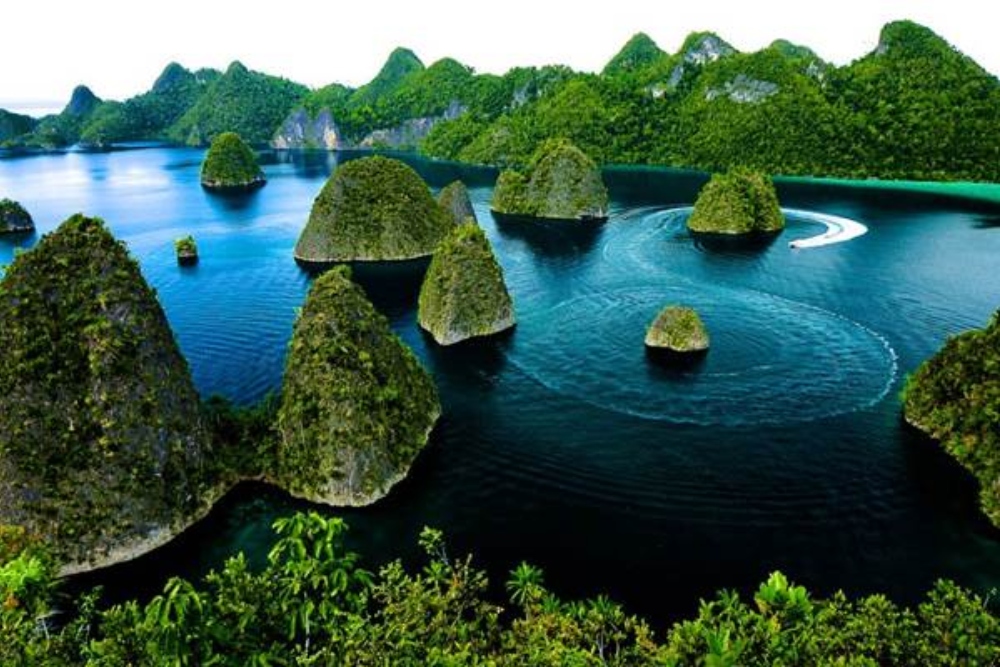  Greenpeace Kritik Industrialisasi Nikel Ancam Raja Ampat Papua