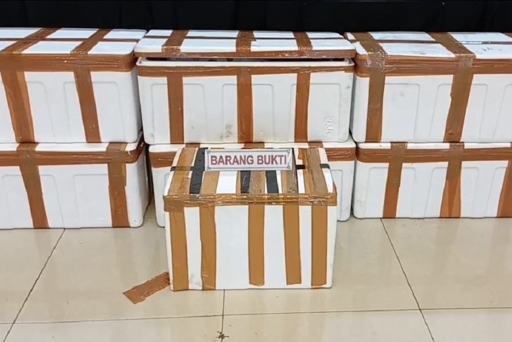  Penyelundupan Benih Lobster Senilai Rp189 Miliar Berhasil Digagalkan di Palembang